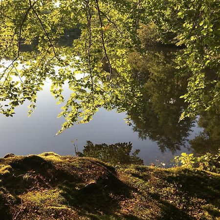 Klosterhotel Walkenried Eksteriør bilde