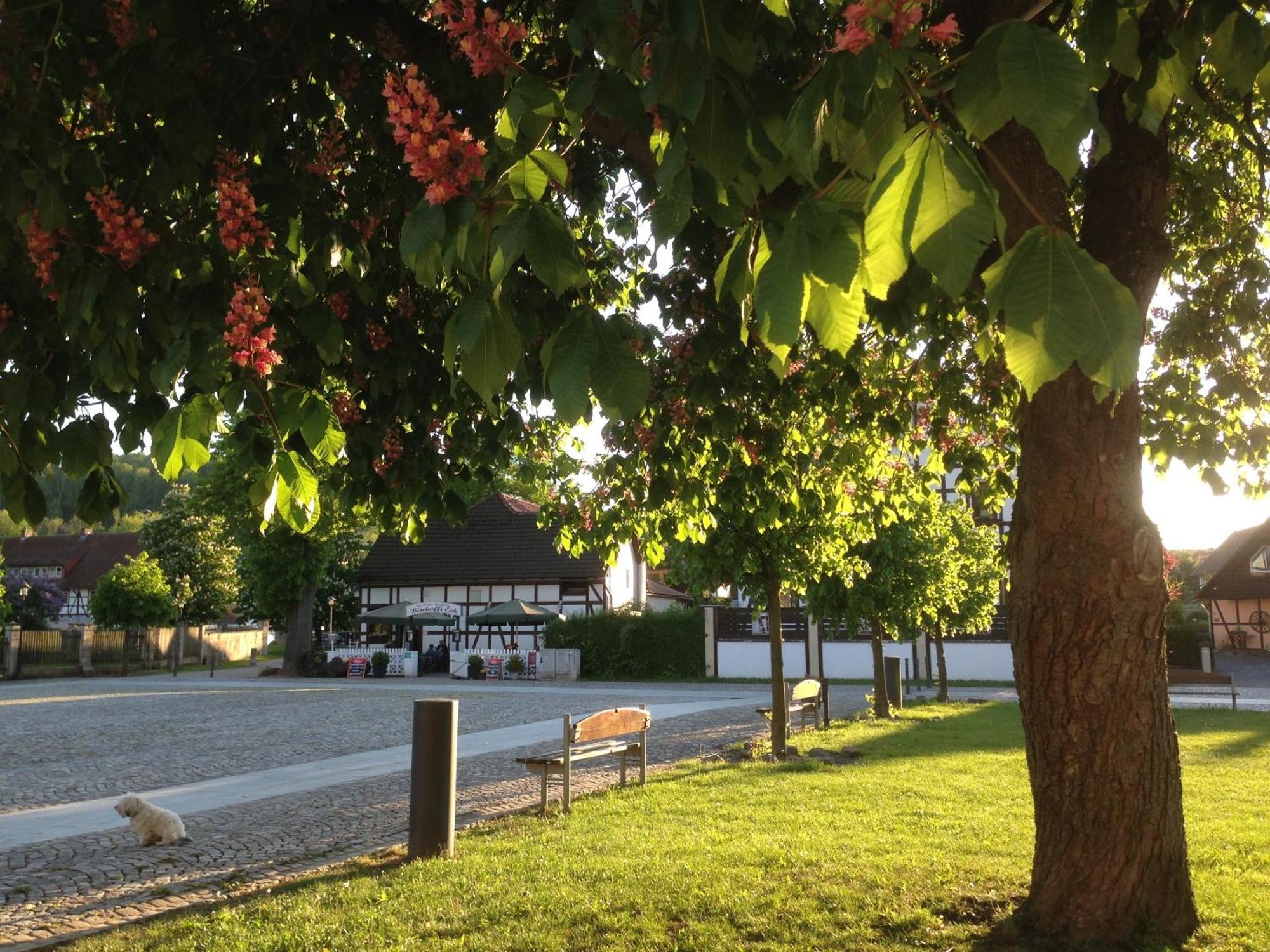 Klosterhotel Walkenried Eksteriør bilde